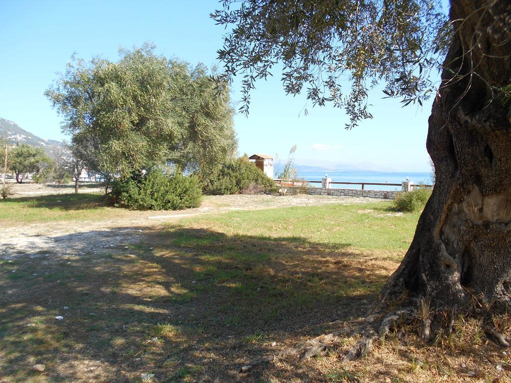 Lukia Barbati Mare Villa Buitenkant foto