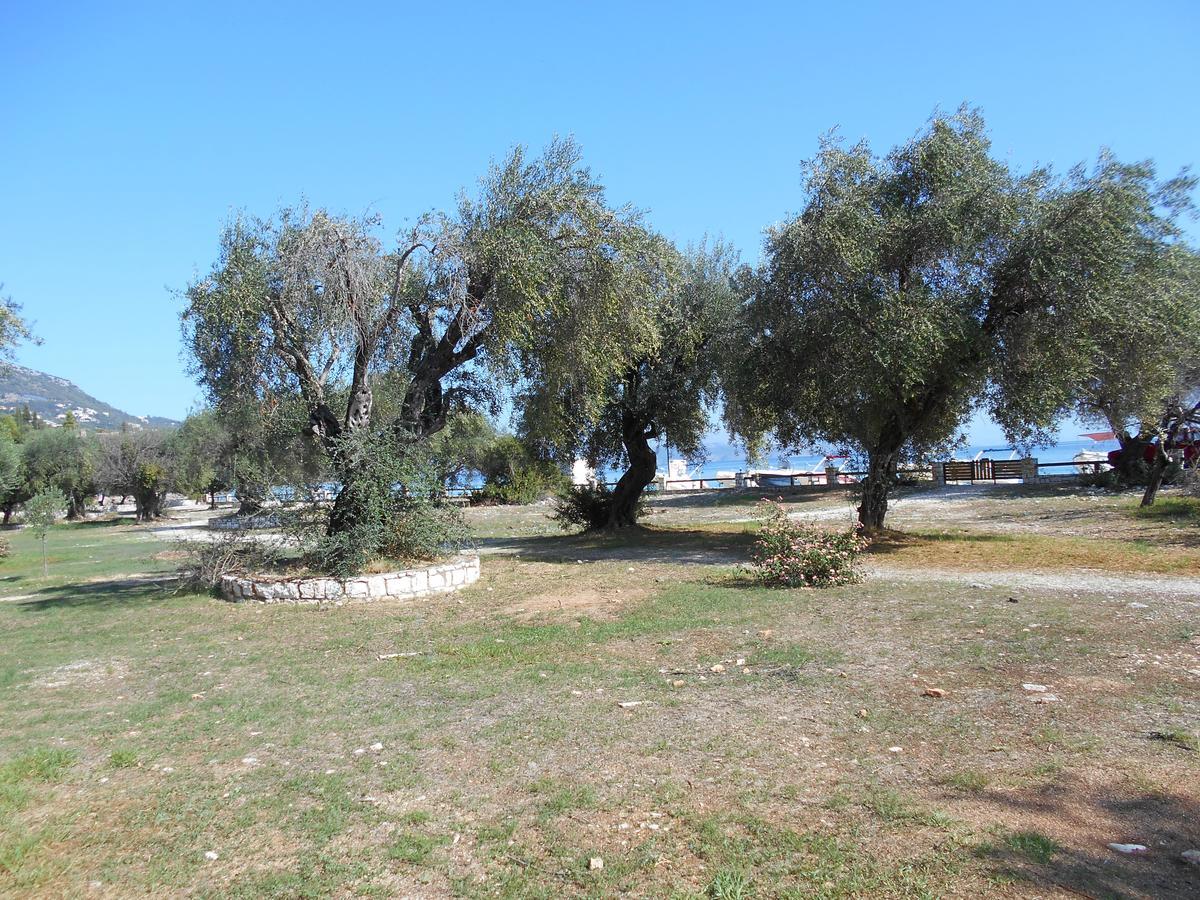 Lukia Barbati Mare Villa Buitenkant foto